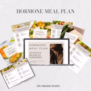 Meal Plan + Recipe Pack - Image 2